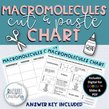 Preview of Macromolecules Chart