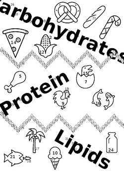 organic molecule worksheet coloring pages