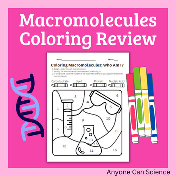 Macromolecules Coloring Review by Anyone Can Science TPT