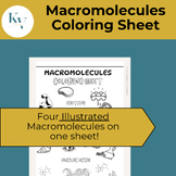 Macromolecules Coloring Sheet