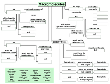 Preview of Macromolecule Concept Map