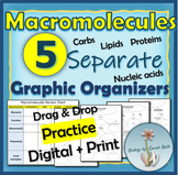 Macromolecules Concept Maps & Graphic Organizer- Card Sort Drag & Drop Practice