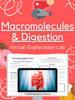 Preview of Macromolecules & Digestion Virtual Exploration Lab