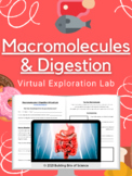 Macromolecules & Digestion Virtual Exploration Lab