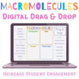 Macromolecules Digital Drag & Drop