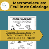 Macromolécules: Feuille de coloriage.