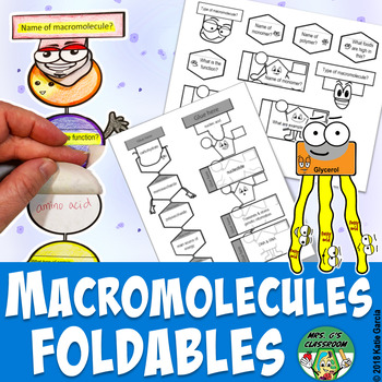 Preview of Macromolecules Foldables