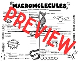 Macromolecules Biomolecules Graphic Organizer