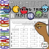 Macromolecules Graphic Organizer Worksheet in Digital and Print
