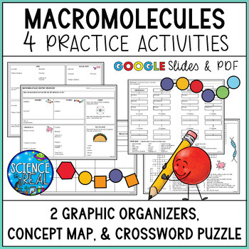 Preview of Macromolecules Graphic Organizers, Concept Map, and Crossword Puzzle