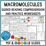 Macromolecules Guided Reading Comprehension & Questions