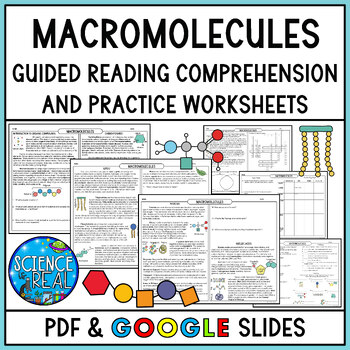 Preview of Macromolecules Guided Reading Comprehension with Questions and Activities