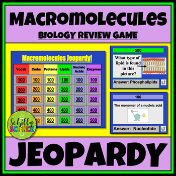 Preview of Macromolecules Jeopardy Review Game