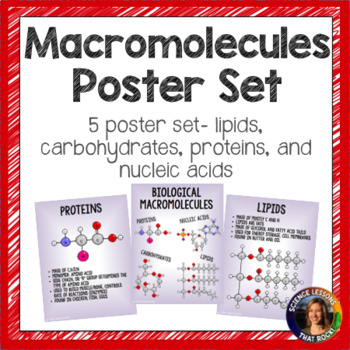 Preview of Macromolecules Poster Pack