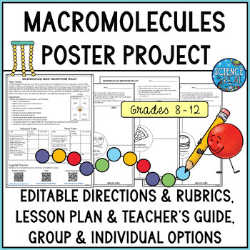Preview of Macromolecules Poster Project - Group and Individual Options