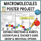 Macromolecules Poster Project - Group and Individual Options