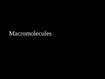 Preview of Macromolecules PowerPoint Lecture Presentation