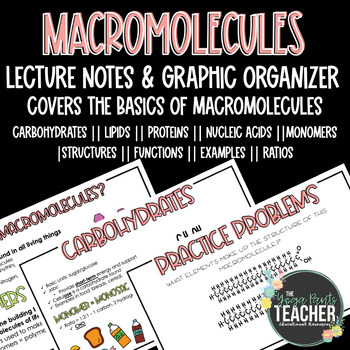 Preview of Macromolecules PowerPoint Notes & Graphic Organizer (Lecture Series)