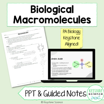 Preview of Biological Macromolecules PowerPoint Guided Notes with KEY Biology Keystone