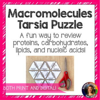 Preview of Macromolecules Tarsia Puzzle