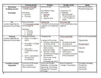Preview of Macromolecules Review Chart with Answers