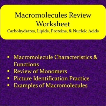 Macromolecules Review Worksheet Distance Learning Compatible Tpt