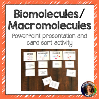 Preview of Macromolecules Lesson