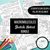 Macromolecules Sketch Notes Bundle