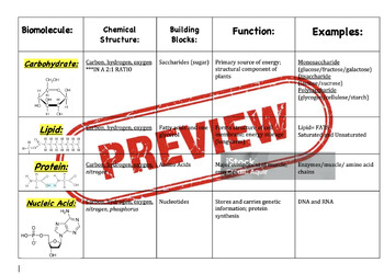 Preview of Macromolecules Study Chart- editable