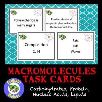 Preview of Macromolecules Task Cards: Carbohydrates, Lipids, Nucleic Acids, & Proteins