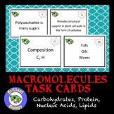 Macromolecules Task Cards: Carbohydrates, Lipids, Nucleic 