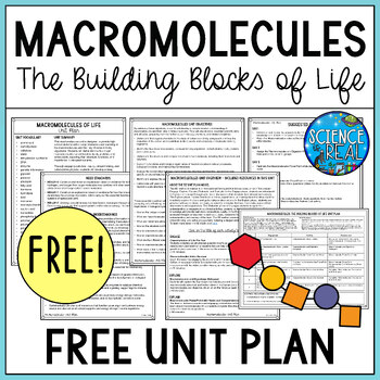 macromolecules assignment teacher edition