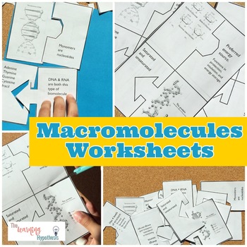 Results for macromolecules cut and paste TPT