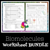 Macromolecules Worksheet Bundle
