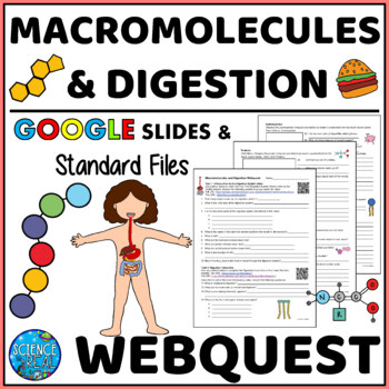 Preview of Macromolecules and Digestion Webquest