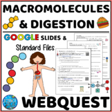 Macromolecules and Digestion Webquest