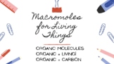 Macromolecules for Living Things: Carbs, Lipid, Proteins &