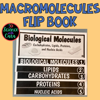 Preview of Macromolecules in Biology Flip Book