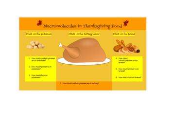 Preview of Macromolecules in Thanksgiving Food Online Activity