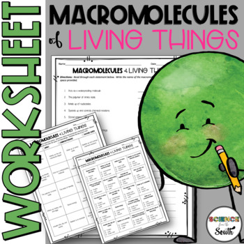 Preview of Macromolecules of Living Things Worksheet Activity with Differentiation