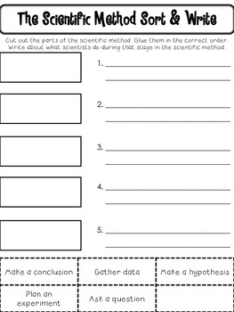 Mad About Science Scientific Method and Experiment Recording Sheets