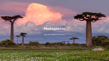 Preview of Madagascar