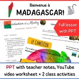 Madagascar - Bienvenue à Madagascar - French Lesson Plan -