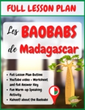 Madagascar - Les baobabs de Madagascar - French Lesson Plan