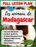 Madagascar - Les animaux de Madagascar - French Lesson Plan