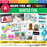 Made For Me Literacy: Winter Fun (Level A) for Pre-k and S