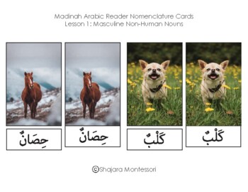 Preview of Madinah Arabic Reader Lesson 1 Masculine Non-Human Nomenclature Cards