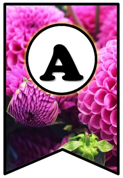 Preview of Magenta Dahlias, Pennant Banner Bulletin Board Letters, Floral, Spring Decor