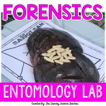 Preview of Maggot Man- Forensic Entomology Lab Investigation