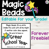 Magic Beads Back to School Editable FREEBIE!